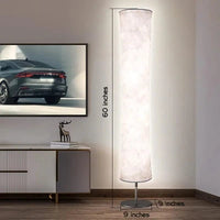 Modern Floor Lamp, RGB Color Changing Led Smart Lamp Alexa APP Control with DIY Mode, Music Sync and White Fabric Shade