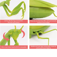 Infrared Remote Control Realistic Praying Mantis Insect, Scary Trick Toy Simulation Praying mantis Animal Funny Prank Kids For Children Toy Gift