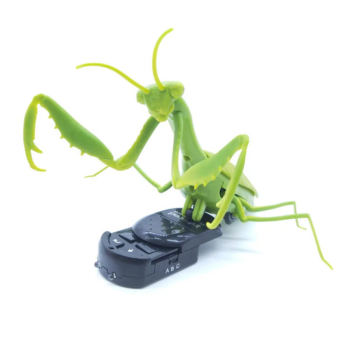 Infrared  Remote Control Realistic Praying Mantis Insect,  Scary Trick Toy Simulation Praying mantis Animal Funny Prank Kids For Children Toy Gift